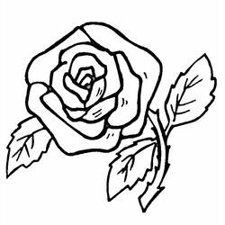 Disegno da colorare: Rose (Natura) #161870 - Pagine da Colorare Stampabili Gratuite
