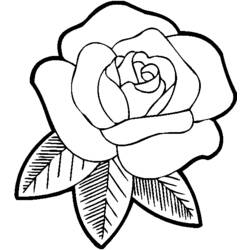 Disegno da colorare: Rose (Natura) #161871 - Pagine da Colorare Stampabili Gratuite