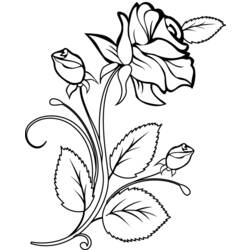 Disegno da colorare: Rose (Natura) #161874 - Pagine da Colorare Stampabili Gratuite