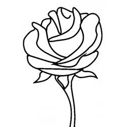 Disegno da colorare: Rose (Natura) #161876 - Pagine da Colorare Stampabili Gratuite