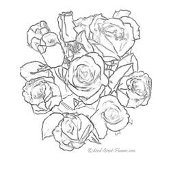 Disegno da colorare: Rose (Natura) #161877 - Pagine da Colorare Stampabili Gratuite