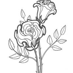 Disegno da colorare: Rose (Natura) #161879 - Pagine da Colorare Stampabili Gratuite