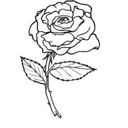 Disegno da colorare: Rose (Natura) #161884 - Pagine da Colorare Stampabili Gratuite