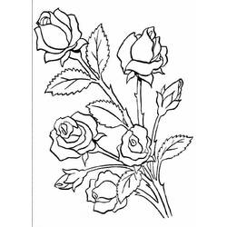 Disegno da colorare: Rose (Natura) #161886 - Pagine da Colorare Stampabili Gratuite