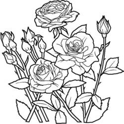 Disegno da colorare: Rose (Natura) #161888 - Pagine da Colorare Stampabili Gratuite