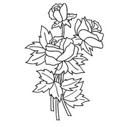 Disegno da colorare: Rose (Natura) #161895 - Pagine da Colorare Stampabili Gratuite