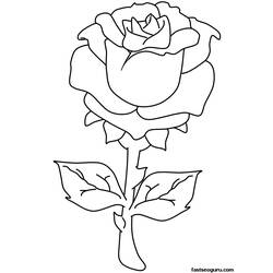 Disegno da colorare: Rose (Natura) #161897 - Pagine da Colorare Stampabili Gratuite