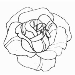 Disegno da colorare: Rose (Natura) #161898 - Pagine da Colorare Stampabili Gratuite