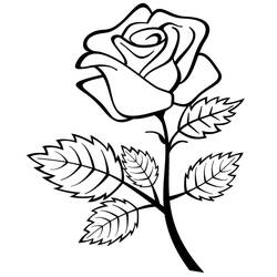 Disegno da colorare: Rose (Natura) #161909 - Pagine da Colorare Stampabili Gratuite
