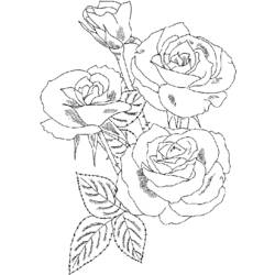 Disegno da colorare: Rose (Natura) #161910 - Pagine da Colorare Stampabili Gratuite