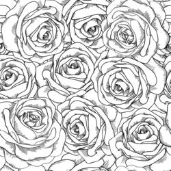 Disegno da colorare: Rose (Natura) #161911 - Pagine da Colorare Stampabili Gratuite