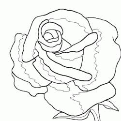 Disegno da colorare: Rose (Natura) #161912 - Pagine da Colorare Stampabili Gratuite