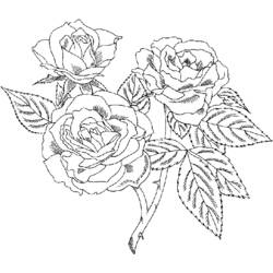 Disegno da colorare: Rose (Natura) #161913 - Pagine da Colorare Stampabili Gratuite