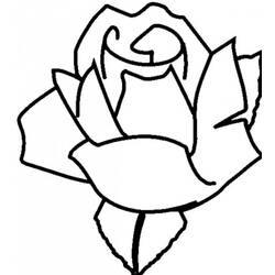 Disegno da colorare: Rose (Natura) #161927 - Pagine da Colorare Stampabili Gratuite