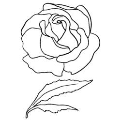 Disegno da colorare: Rose (Natura) #161931 - Pagine da Colorare Stampabili Gratuite