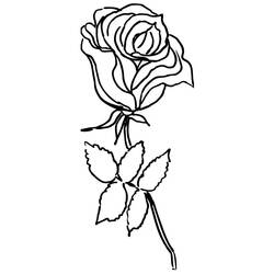 Disegno da colorare: Rose (Natura) #161935 - Pagine da Colorare Stampabili Gratuite