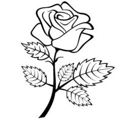 Disegno da colorare: Rose (Natura) #161936 - Pagine da Colorare Stampabili Gratuite