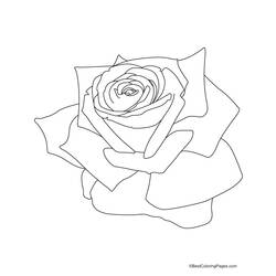 Disegno da colorare: Rose (Natura) #161938 - Pagine da Colorare Stampabili Gratuite
