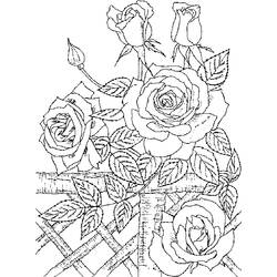 Disegno da colorare: Rose (Natura) #161944 - Pagine da Colorare Stampabili Gratuite