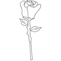 Disegno da colorare: Rose (Natura) #161950 - Pagine da Colorare Stampabili Gratuite