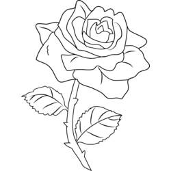 Disegno da colorare: Rose (Natura) #161971 - Pagine da Colorare Stampabili Gratuite