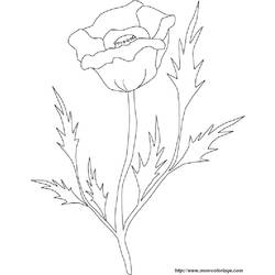 Disegno da colorare: Rose (Natura) #161975 - Pagine da Colorare Stampabili Gratuite