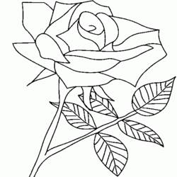 Disegno da colorare: Rose (Natura) #161982 - Pagine da Colorare Stampabili Gratuite