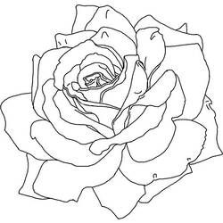Disegno da colorare: Rose (Natura) #161983 - Pagine da Colorare Stampabili Gratuite