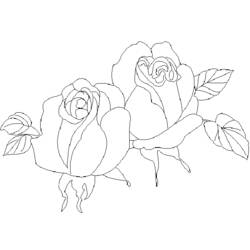 Disegno da colorare: Rose (Natura) #161988 - Pagine da Colorare Stampabili Gratuite