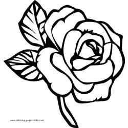 Disegno da colorare: Rose (Natura) #162017 - Pagine da Colorare Stampabili Gratuite