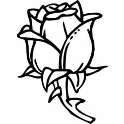 Disegno da colorare: Rose (Natura) #162032 - Pagine da Colorare Stampabili Gratuite