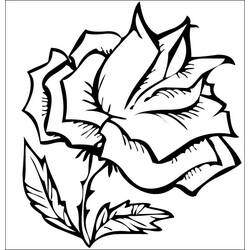 Disegno da colorare: Rose (Natura) #162049 - Pagine da Colorare Stampabili Gratuite