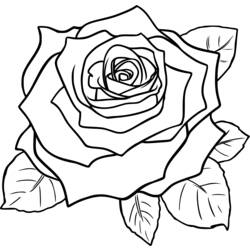 Disegno da colorare: Rose (Natura) #162072 - Pagine da Colorare Stampabili Gratuite