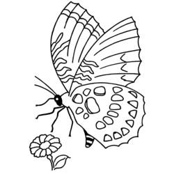 Disegno da colorare: Stagione primaverile (Natura) #164826 - Pagine da Colorare Stampabili Gratuite