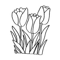 Disegno da colorare: Tulipano (Natura) #161613 - Pagine da Colorare Stampabili Gratuite