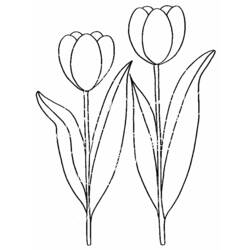 Disegno da colorare: Tulipano (Natura) #161614 - Pagine da Colorare Stampabili Gratuite