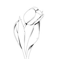 Disegno da colorare: Tulipano (Natura) #161615 - Pagine da Colorare Stampabili Gratuite