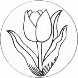 Disegno da colorare: Tulipano (Natura) #161622 - Pagine da Colorare Stampabili Gratuite