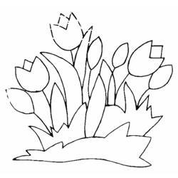 Disegno da colorare: Tulipano (Natura) #161624 - Pagine da Colorare Stampabili Gratuite
