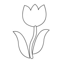 Disegno da colorare: Tulipano (Natura) #161625 - Pagine da Colorare Stampabili Gratuite