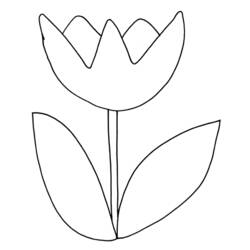 Disegno da colorare: Tulipano (Natura) #161628 - Pagine da Colorare Stampabili Gratuite