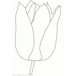 Disegno da colorare: Tulipano (Natura) #161633 - Pagine da Colorare Stampabili Gratuite
