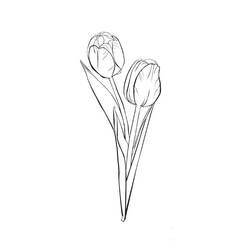 Disegno da colorare: Tulipano (Natura) #161635 - Pagine da Colorare Stampabili Gratuite