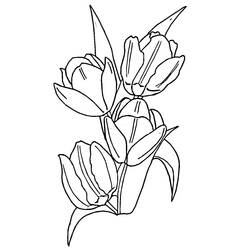 Disegno da colorare: Tulipano (Natura) #161636 - Pagine da Colorare Stampabili Gratuite