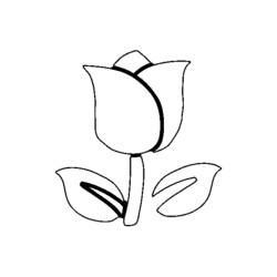 Disegno da colorare: Tulipano (Natura) #161638 - Pagine da Colorare Stampabili Gratuite