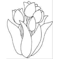 Disegno da colorare: Tulipano (Natura) #161642 - Pagine da Colorare Stampabili Gratuite