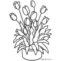 Disegno da colorare: Tulipano (Natura) #161649 - Pagine da Colorare Stampabili Gratuite