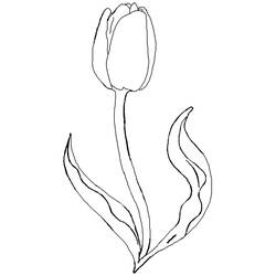 Disegno da colorare: Tulipano (Natura) #161651 - Pagine da Colorare Stampabili Gratuite