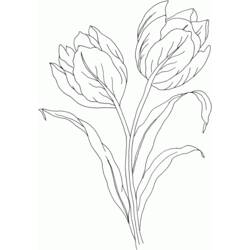 Disegno da colorare: Tulipano (Natura) #161655 - Pagine da Colorare Stampabili Gratuite