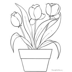 Disegno da colorare: Tulipano (Natura) #161661 - Pagine da Colorare Stampabili Gratuite